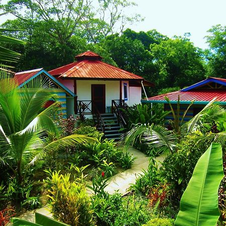 بوكاس تاون Casa Abundancyah B&B المظهر الخارجي الصورة