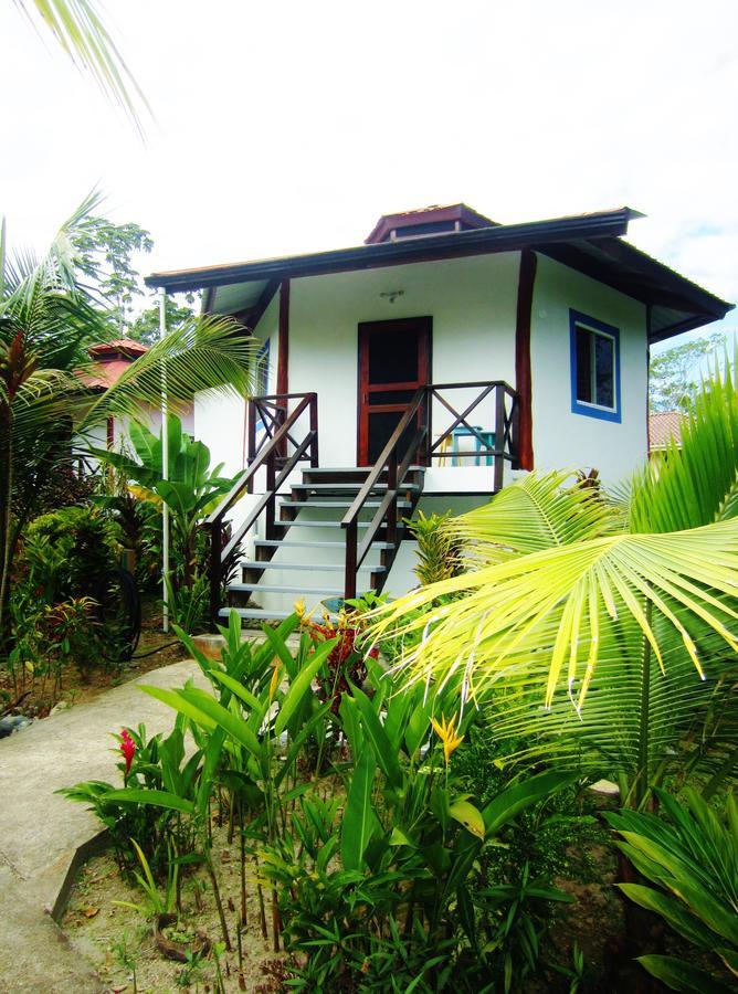 بوكاس تاون Casa Abundancyah B&B المظهر الخارجي الصورة