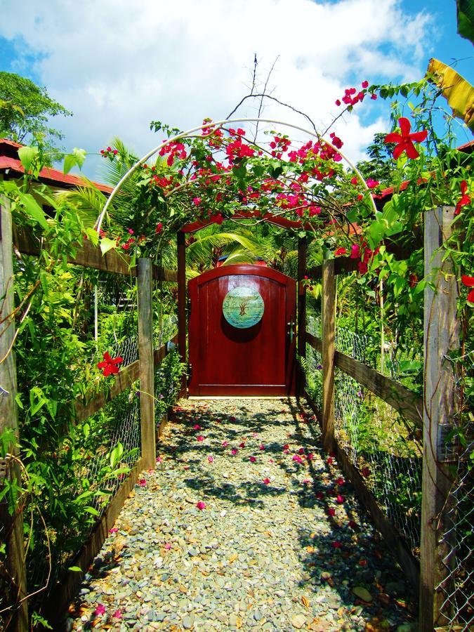 بوكاس تاون Casa Abundancyah B&B المظهر الخارجي الصورة