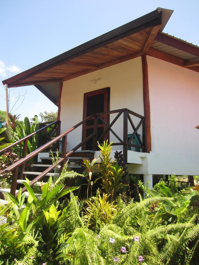 بوكاس تاون Casa Abundancyah B&B المظهر الخارجي الصورة